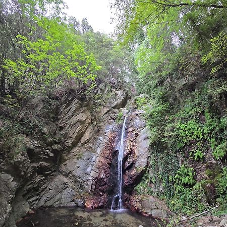Village Camping Fico D'India Ovile la Marina Εξωτερικό φωτογραφία