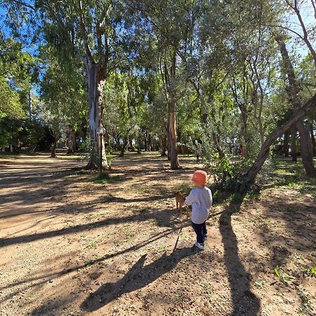 Village Camping Fico D'India Ovile la Marina Εξωτερικό φωτογραφία