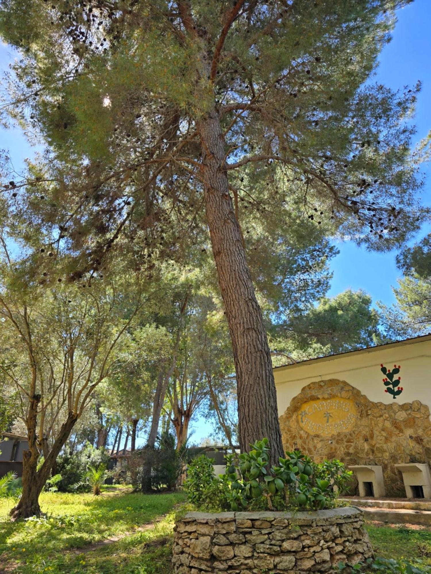 Village Camping Fico D'India Ovile la Marina Εξωτερικό φωτογραφία
