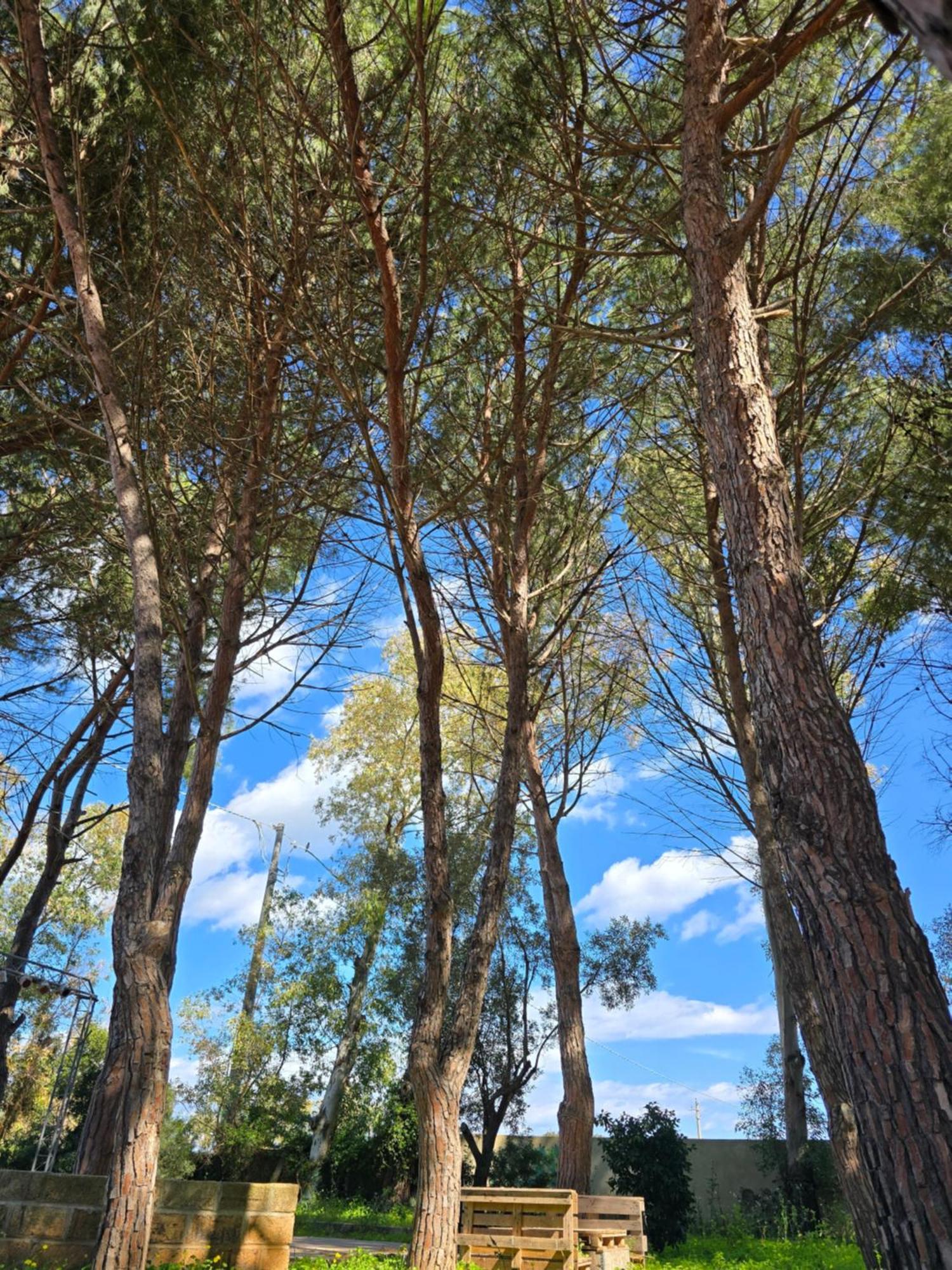 Village Camping Fico D'India Ovile la Marina Εξωτερικό φωτογραφία