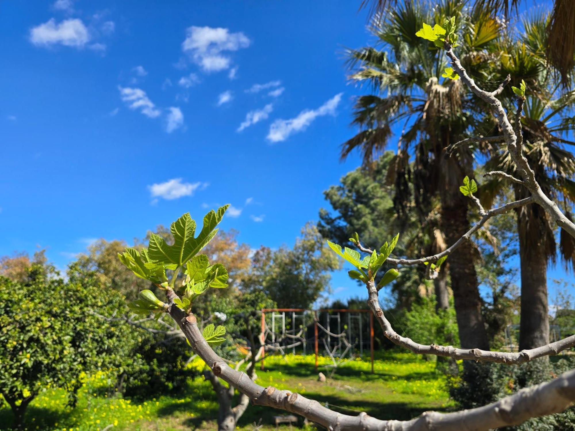 Village Camping Fico D'India Ovile la Marina Εξωτερικό φωτογραφία